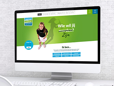 website picture